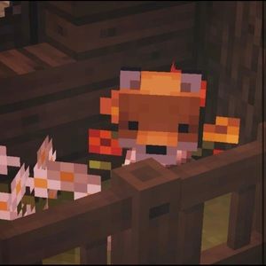 Meet your Posher, Greyson